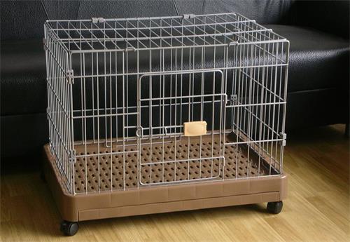 猫咪皮癣用百夫康可以吗,猫咪猫癣涂碘伏可以吗