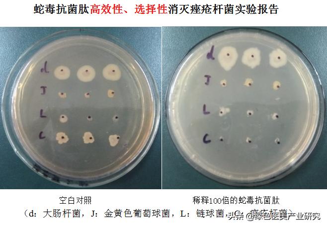 祛痘干货指南如何养成不长痘肤质,最全祛痘方法针对各种痘痘
