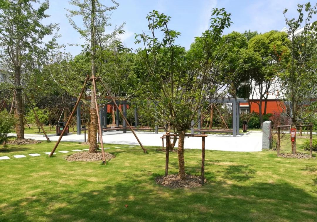 松江国际生态商务区地标,松江国际生态公园