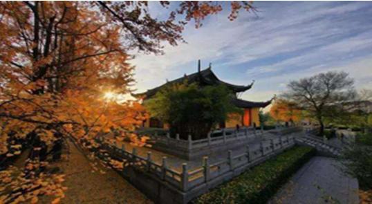 常州著名品牌大全,常州口碑好的品牌是什么