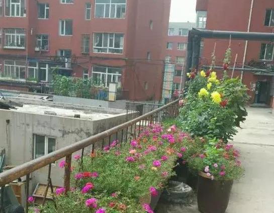 室内养花种菜工具箱,用泡沫箱可以做厨余垃圾堆肥水吗