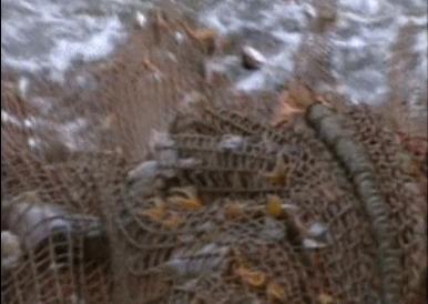 富二代人骨皮包的真实图片,人骨皮包真相曝光