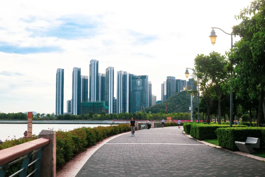 测评深圳湾,我直接被房租劝退