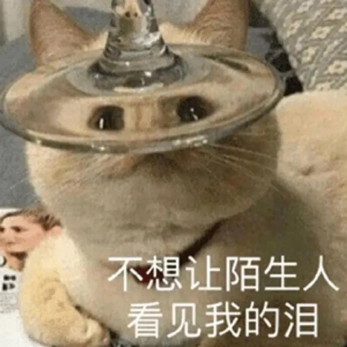 沙雕表情包怎么拿,沙雕表情包有本事你打我嘛