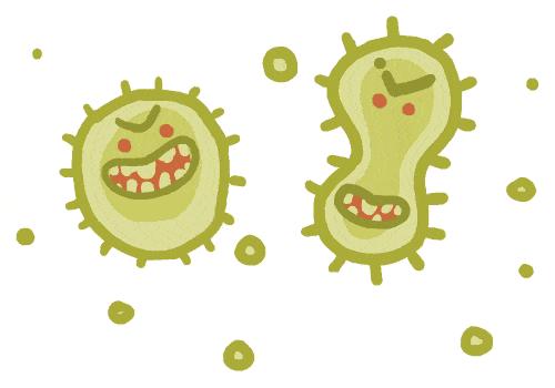 流鼻涕打喷嚏过敏性鼻炎吃什么药,过敏性鼻炎流鼻涕打喷嚏吃什么药
