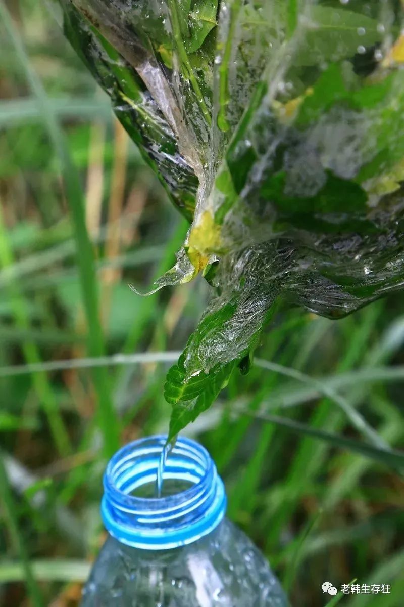 沙漠求生取水技巧,生存狂逃生技巧