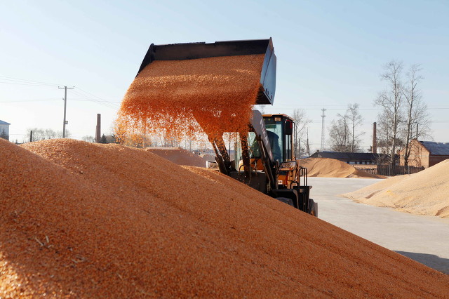 农民承包土地有自主经营权,农民承包地有经营自主权