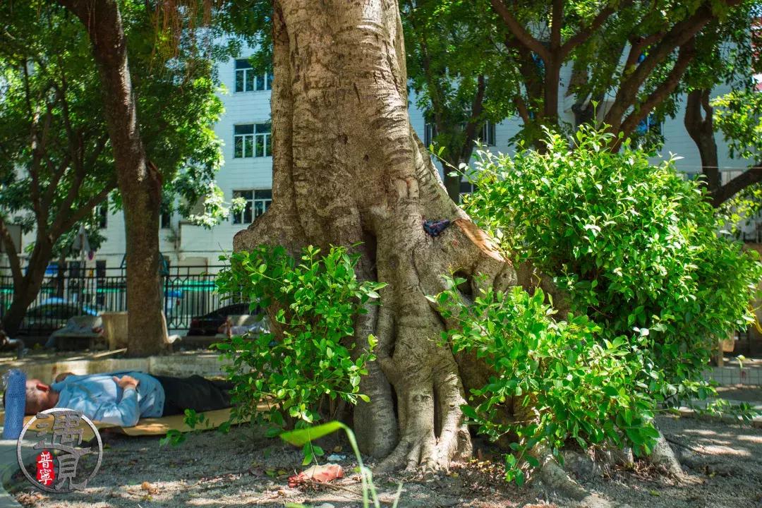 普宁流沙中华新城旧貌,普宁人民广场改造