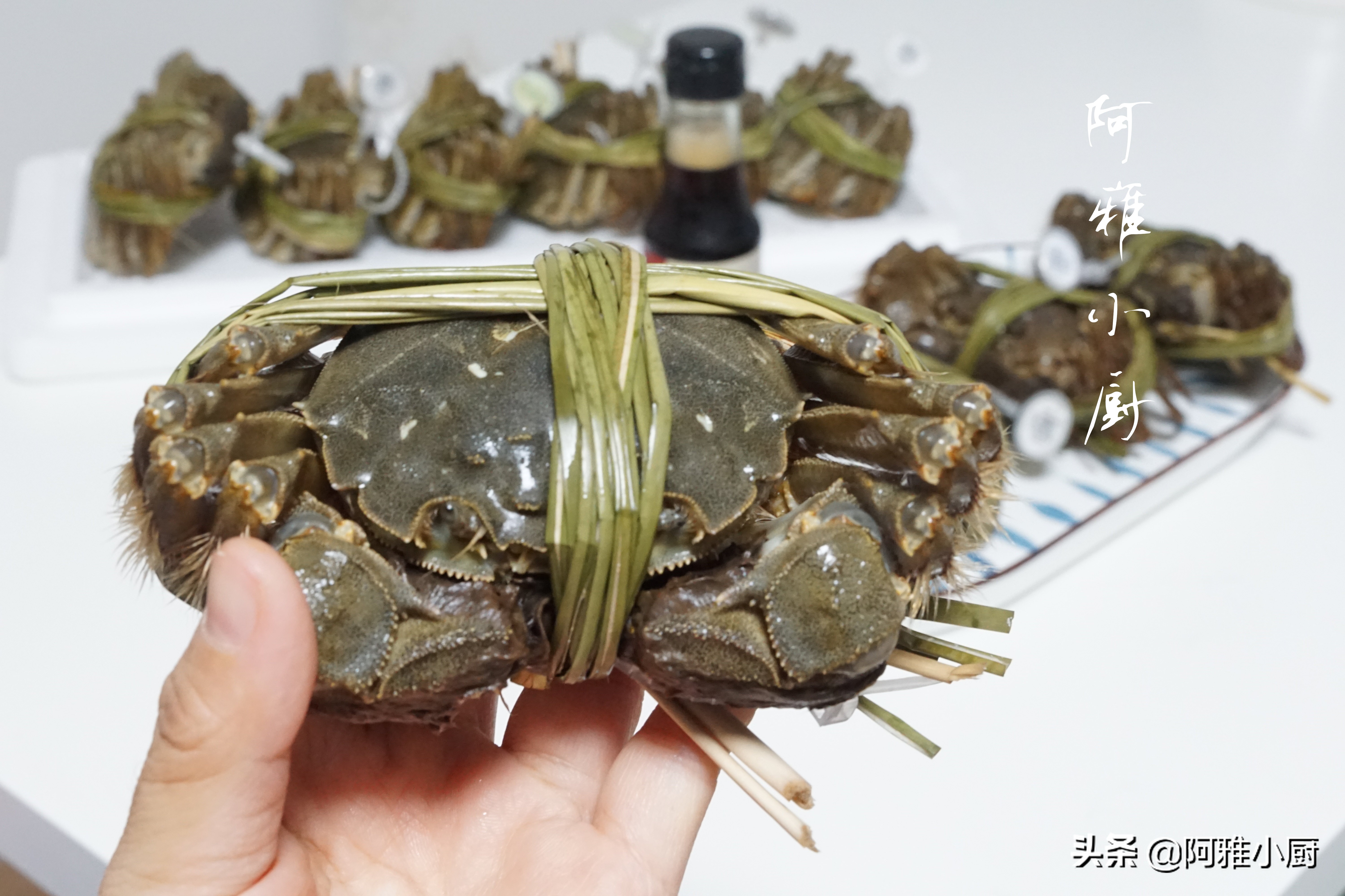 公大闸蟹和母大闸蟹哪个更好吃,大闸蟹对比