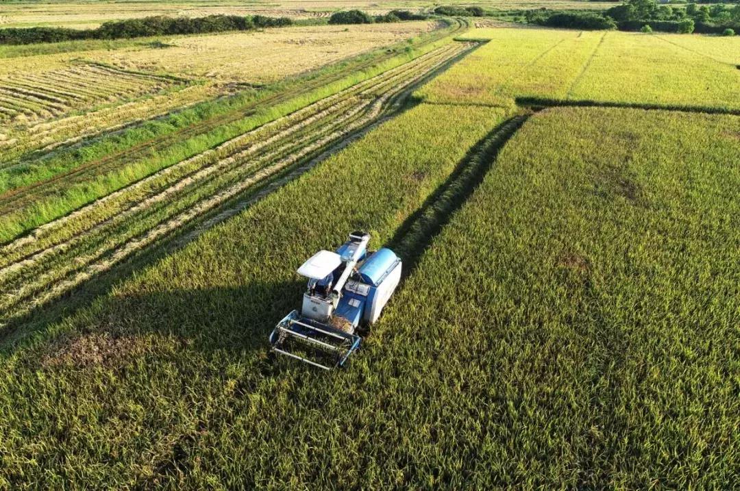 早安海口2019年1月14日,早安海口2018年12月26日