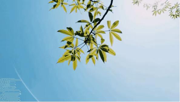 粗心的我400字优秀作文,贪玩的我优秀作文