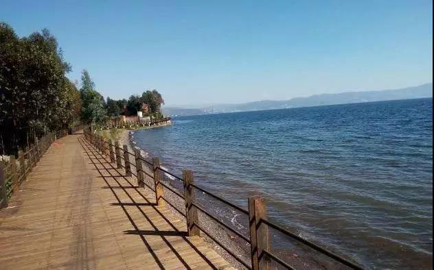 春暖花开|岁月悠悠.漫步时光栈道