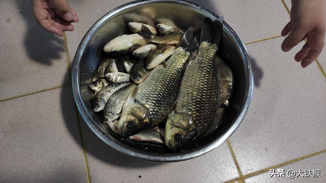 大师用玉米钓鱼怎样调漂,简单易学的钓鱼老玉米制作