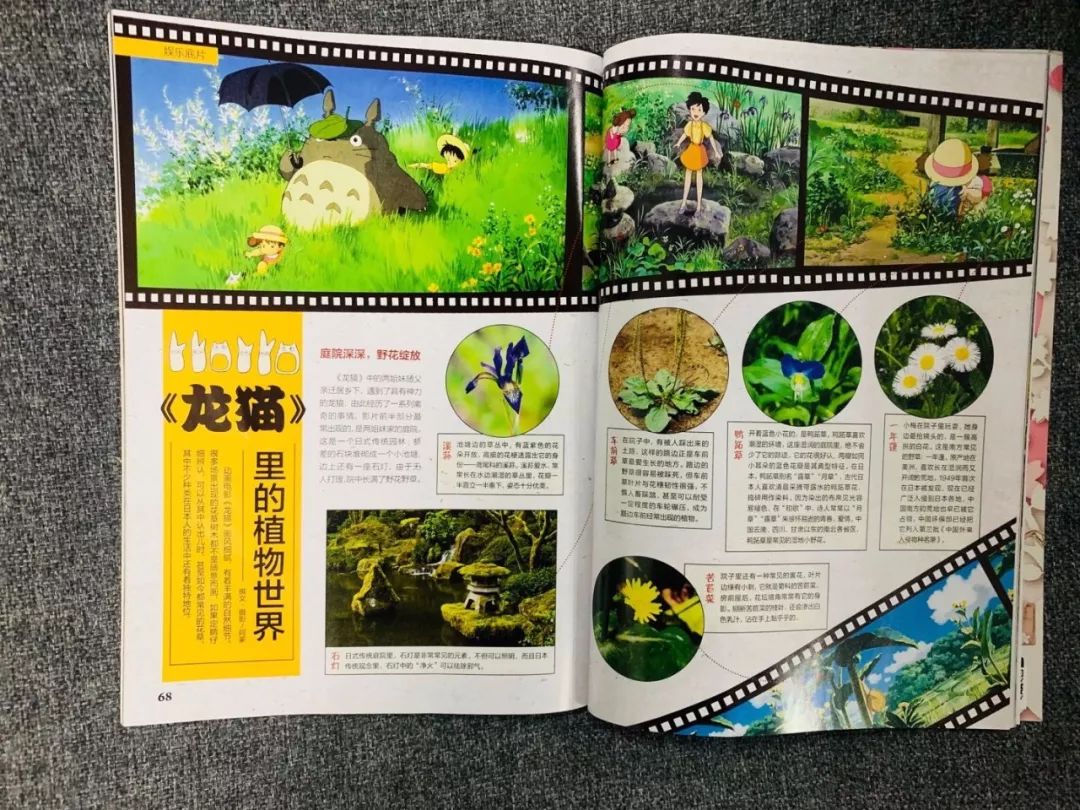 班主任推荐订的杂志，有些真是“一言难尽”|儿童杂志亲测