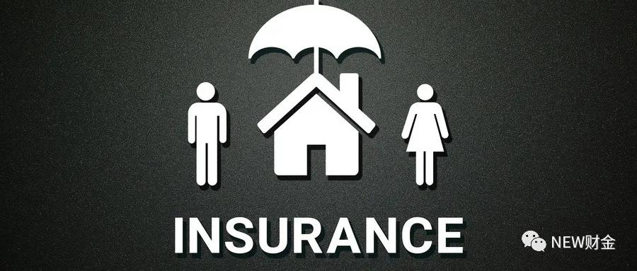 创新型保险（海外篇）|家财险迎来高光时刻—河马保险（Hippo）