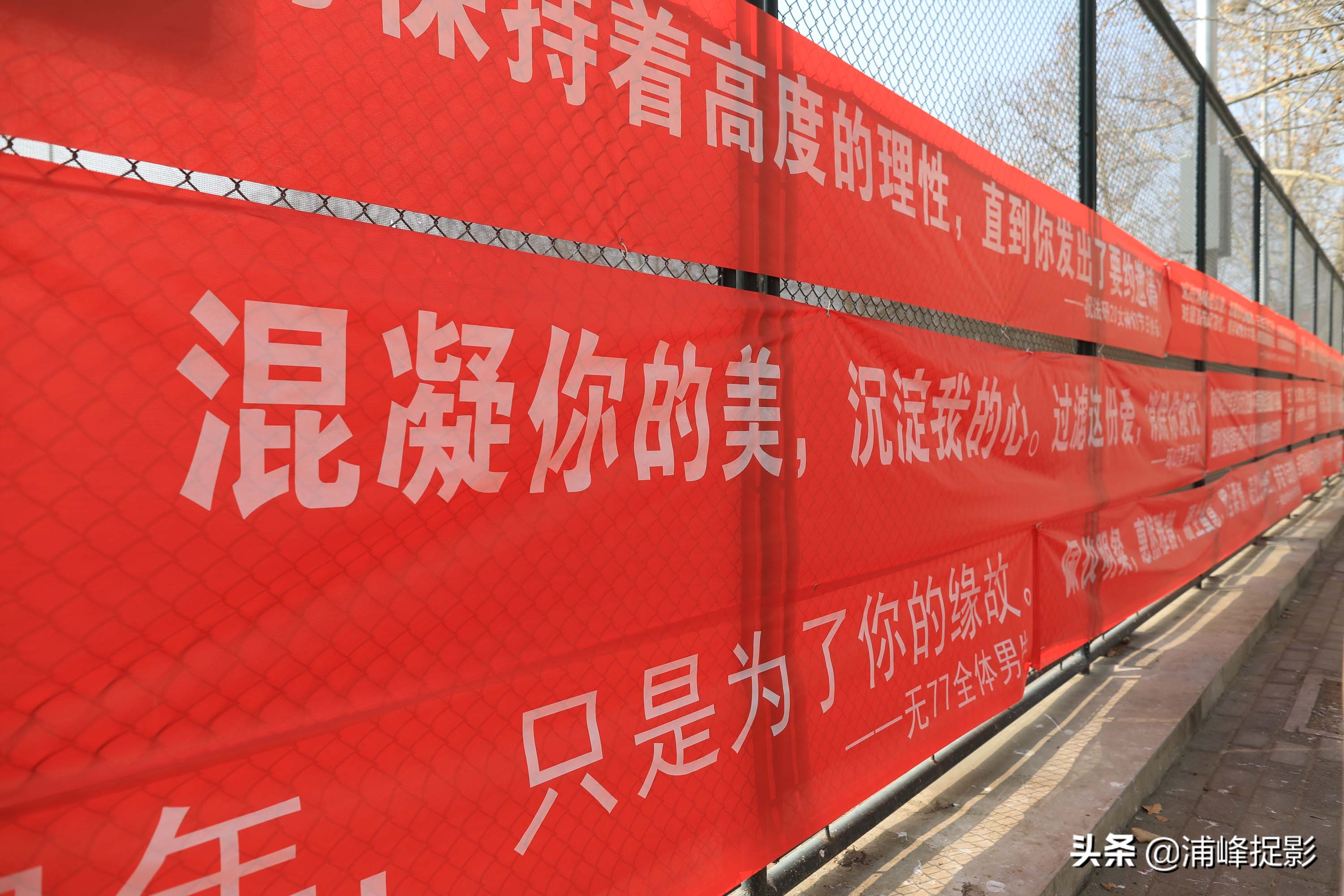 世界上有一种男生，叫清华男生，向“女神”表白高级得看不懂