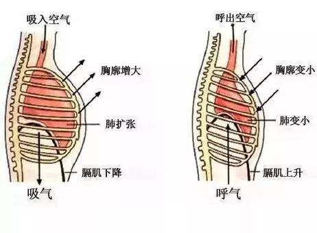 唱歌大白嗓声音发虚,唱歌技巧虚音
