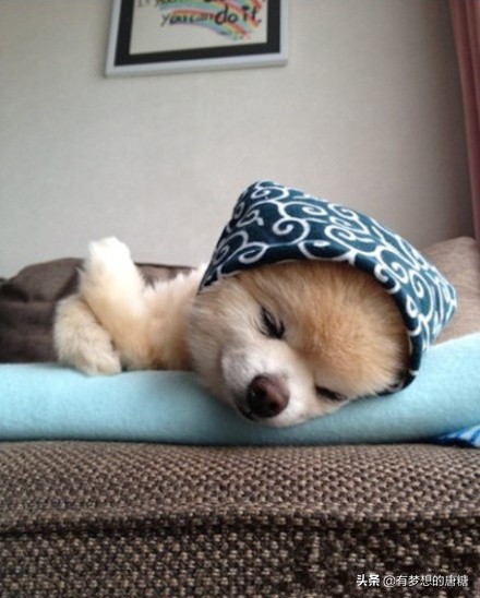 在家带娃呆着快郁闷了怎么办,在家带娃容易崩溃怎么办