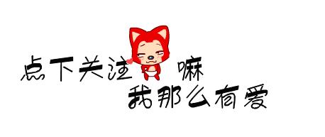 边牧聪明翻车,边牧聪明为什么边牧不当警犬