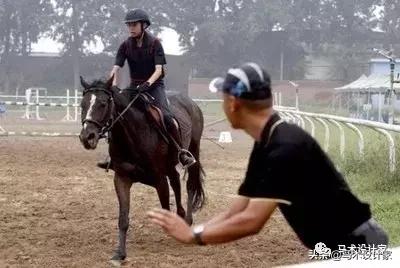 台湾养马场,台湾新竹马场