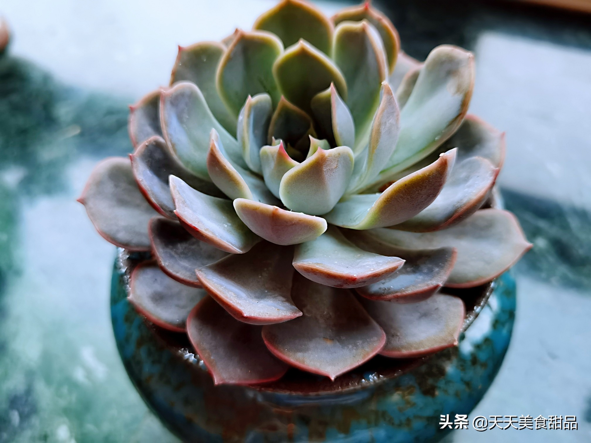 我在锦州的日子，这个周末女儿女婿又骑行