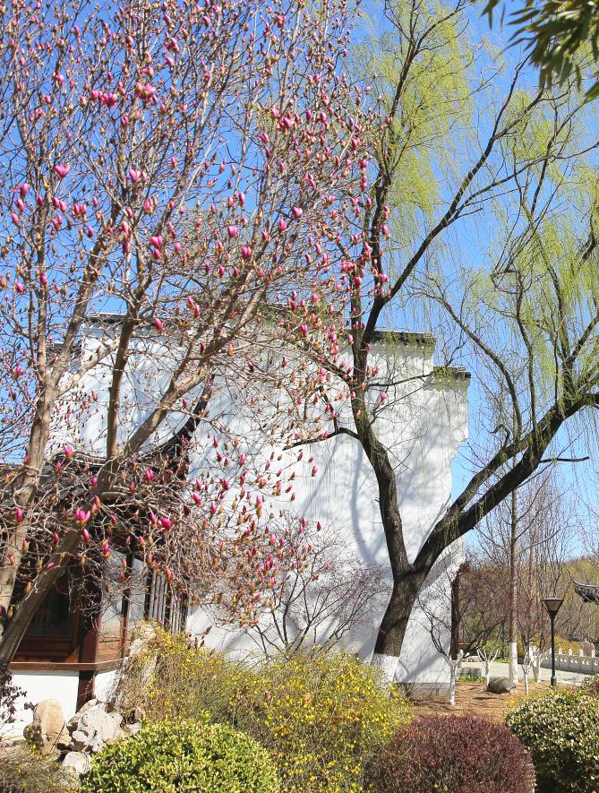 北京4月踏青的地方丰台区有哪些,丰台踏青好去处