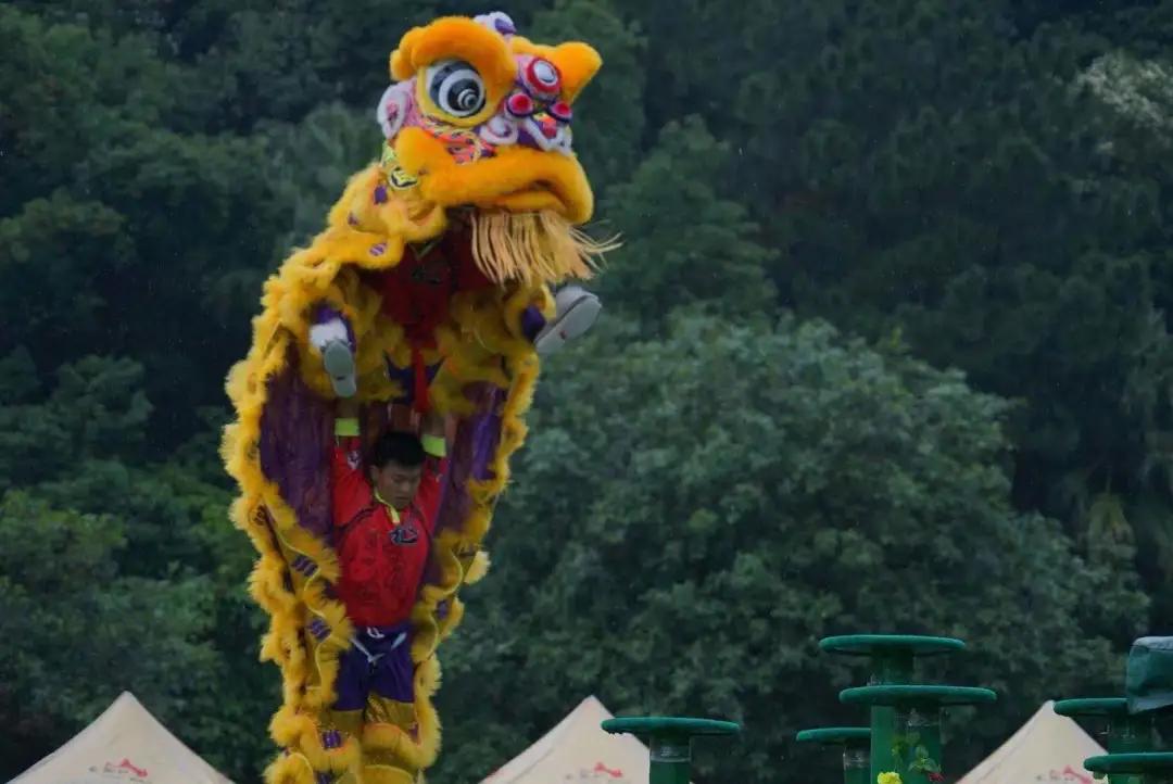 2017番禺汀根龙狮团比赛,番禺区沙头街汀根村龙狮团