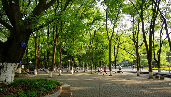 西南大学实力到底怎么样,校园美如画