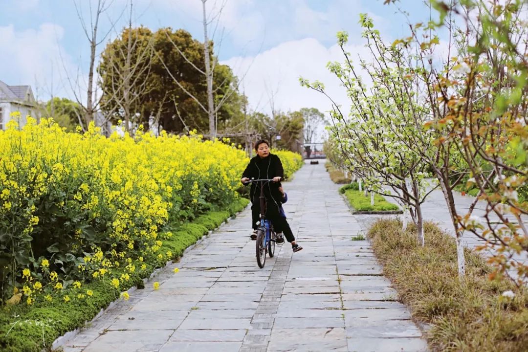 生活在中国最具幸福感城市,去中国最美乡村