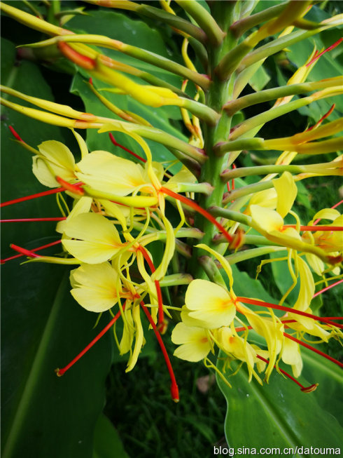 在新西兰你活得多自在,新西兰成功治好了我的焦虑