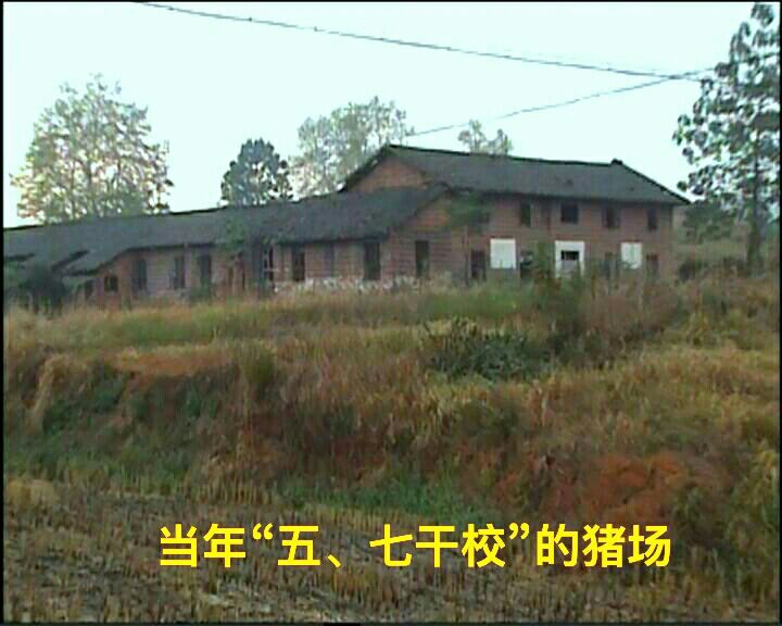 难以释怀的知青情结,60年代的知青情结