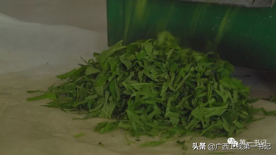 娉楁按鑴辫传鏀诲潥,娴庡畞娉楁按鎵惰传