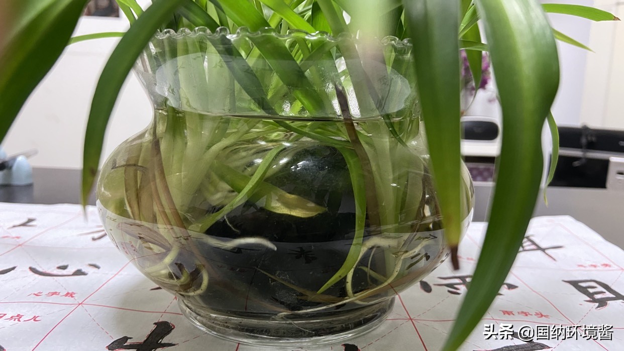 室内空气净化除甲醛治理方案,室内空气净化甲醛治理方案