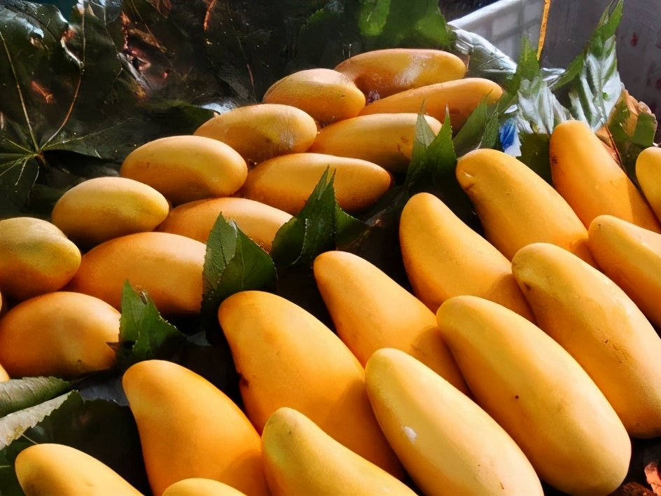 建水人注意了这东西不能碰,来建水了要注意什么