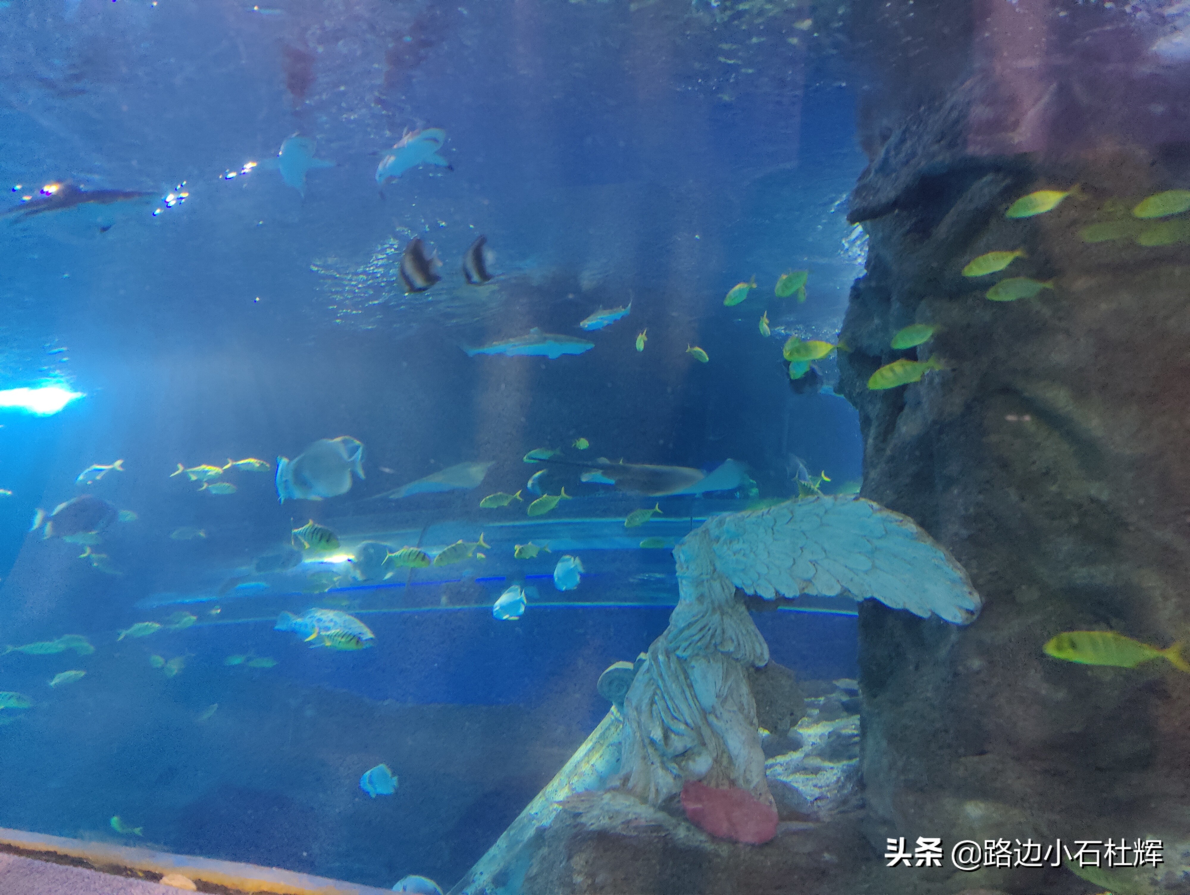 北京海洋馆海底世界和动物园攻略,游北京动物园海洋馆