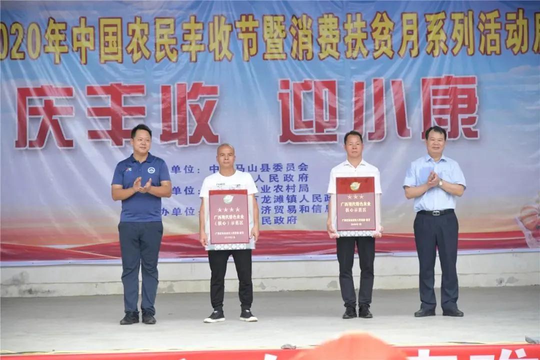 农民丰收节奖状,乡村光荣榜表彰大会暨文艺汇演