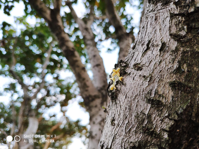 小米mix3试玩视频,小米mix3进入游戏测评