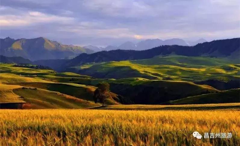 给你11个“十一”来*疆新**的理由