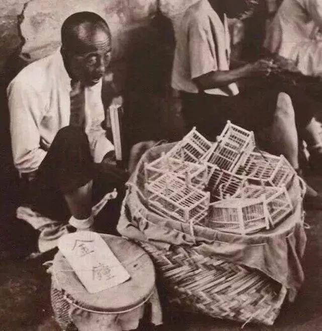 玩虫讲究,玩虫子的人