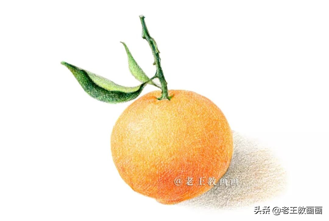 橘子彩铅手绘过程详解,超详细的彩铅橘子教程