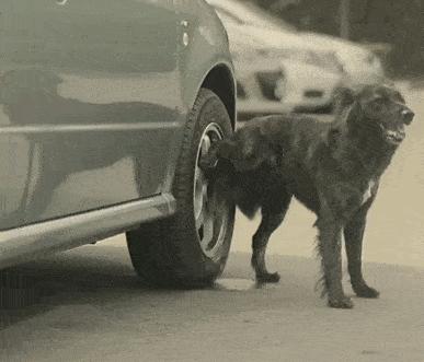 为什么吐舌,宝宝总是吐舌头什么原因