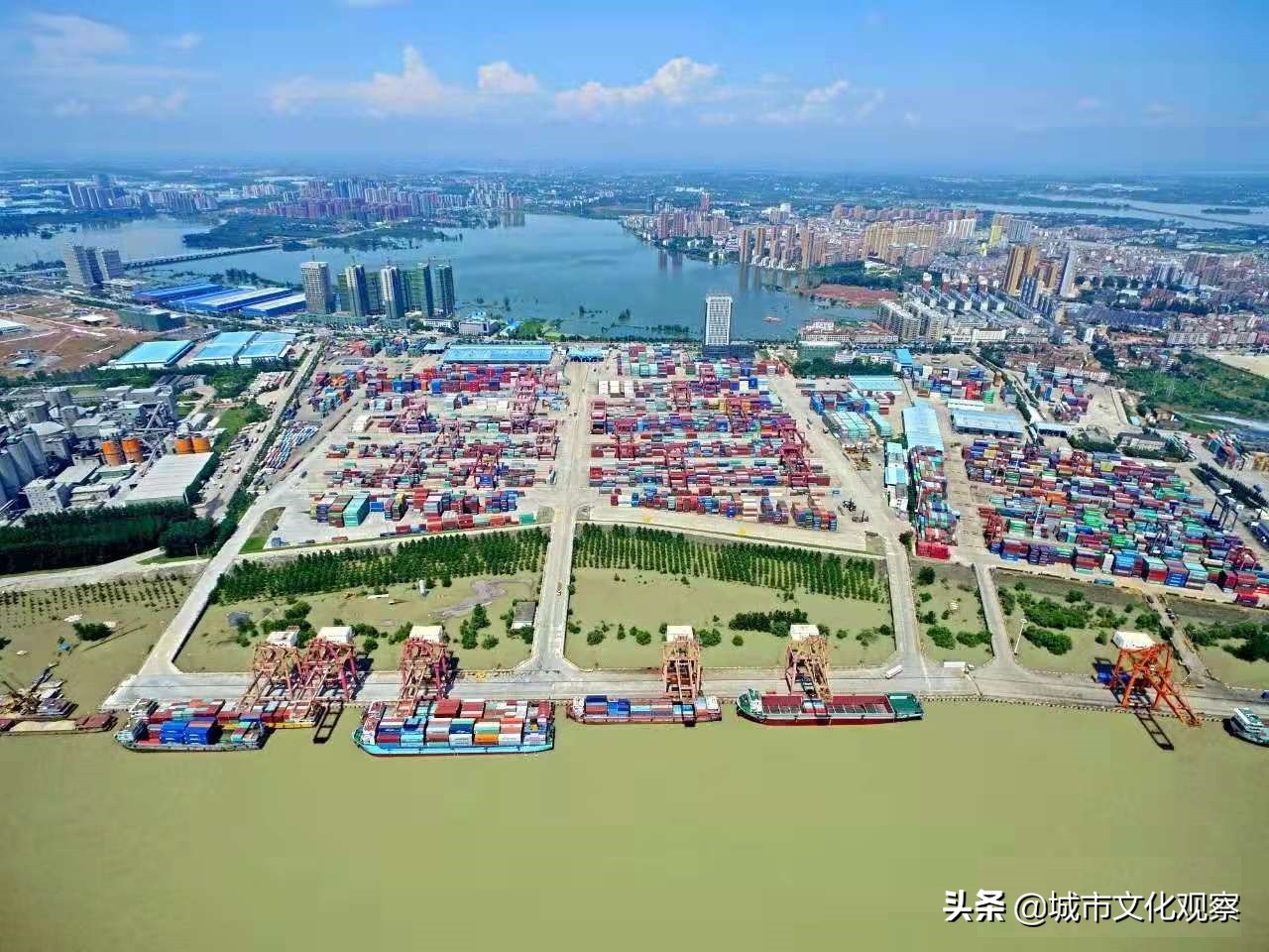 新洲人口2019总人数,新洲阳逻区总人口