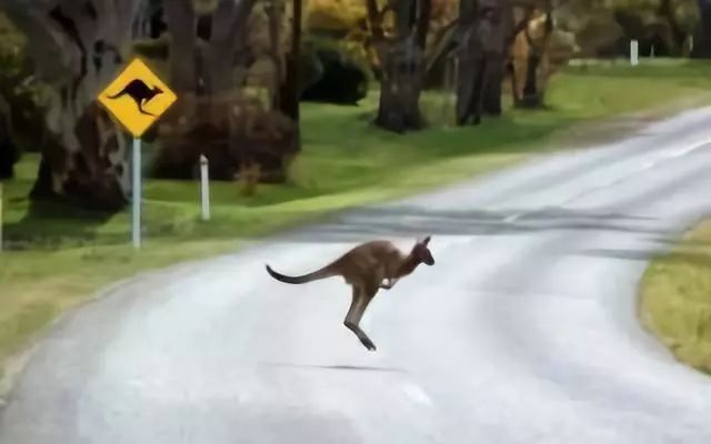 澳洲无人机外卖,无人机送外卖真的很难吗