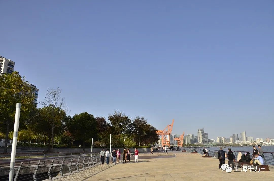 徐汇滨江二手房价格,上海徐汇滨江楼盘价格