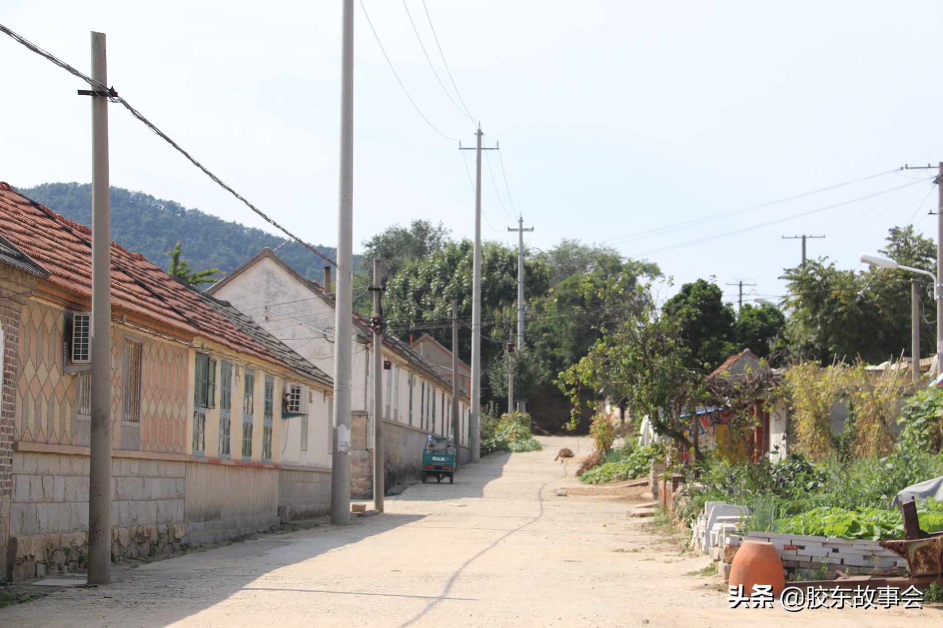 文登葛家有什么村,文登葛家镇简介