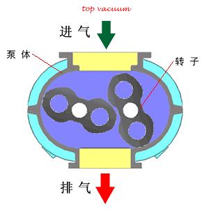 一群机械动物的动画片,一堆机器兽动画片