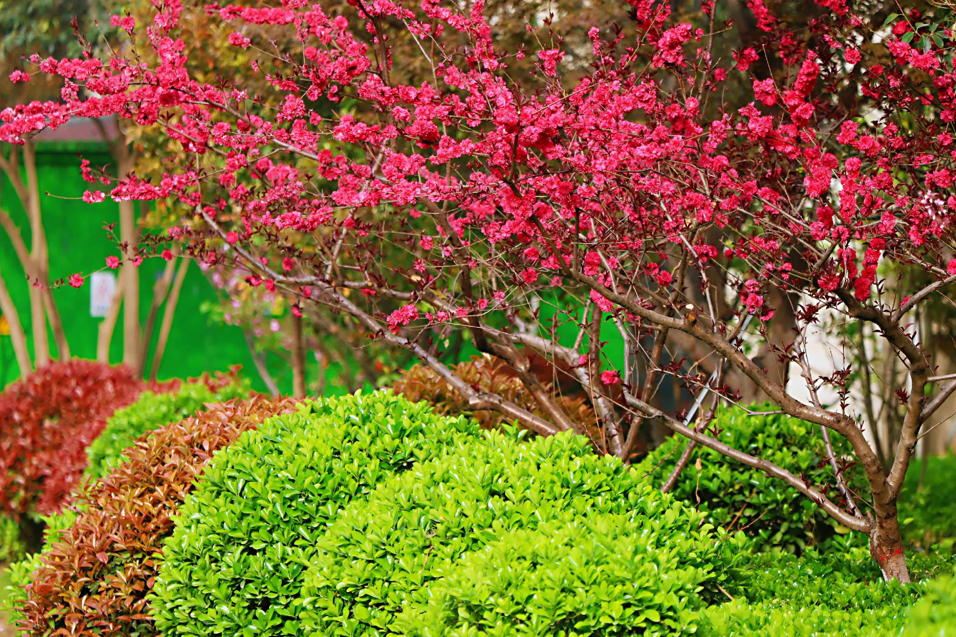 骏景花园116平米,骏景花园小区效果图