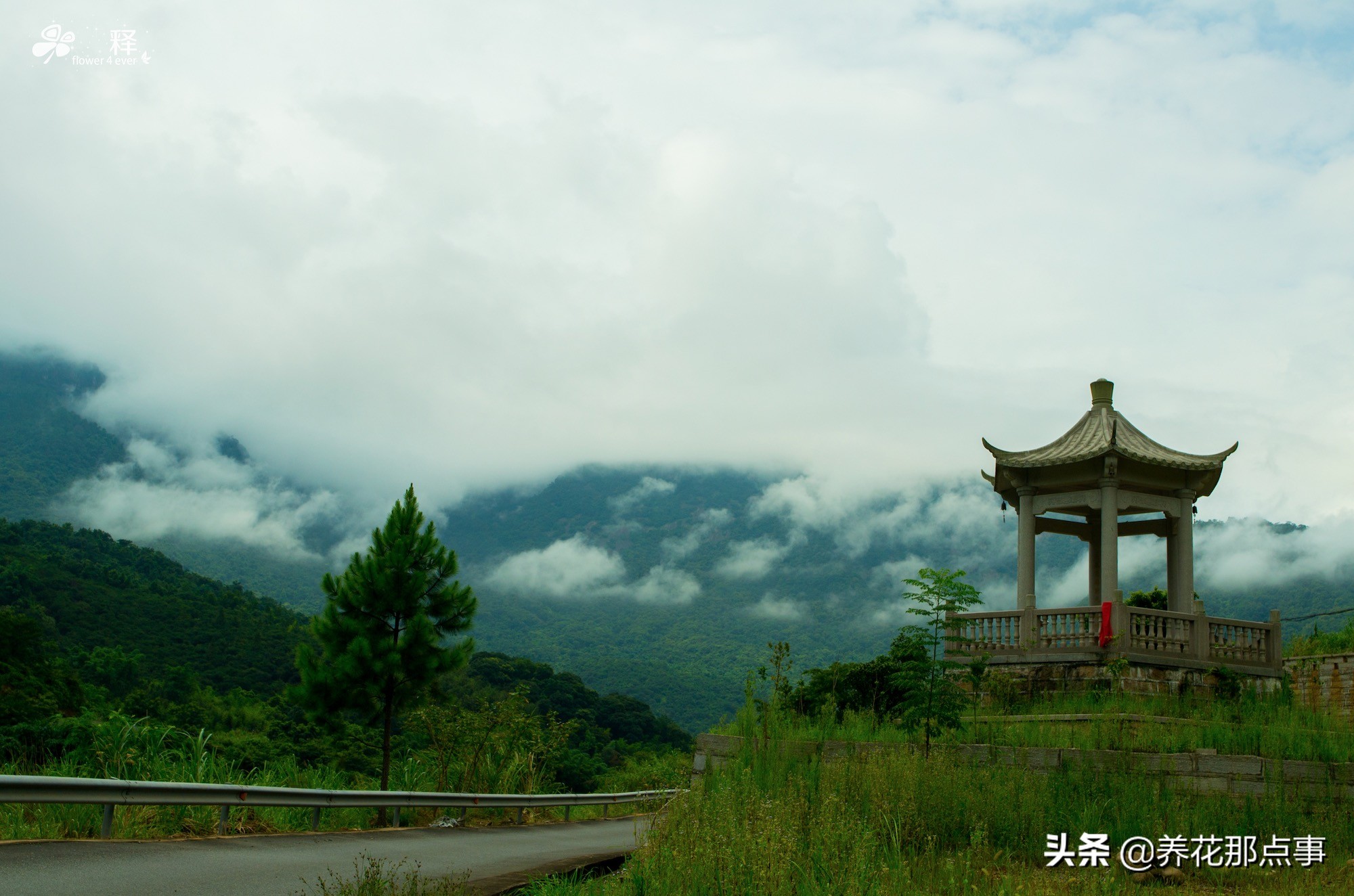 福州最新旅游攻略自由行攻略,去福州旅游自由行攻略最新