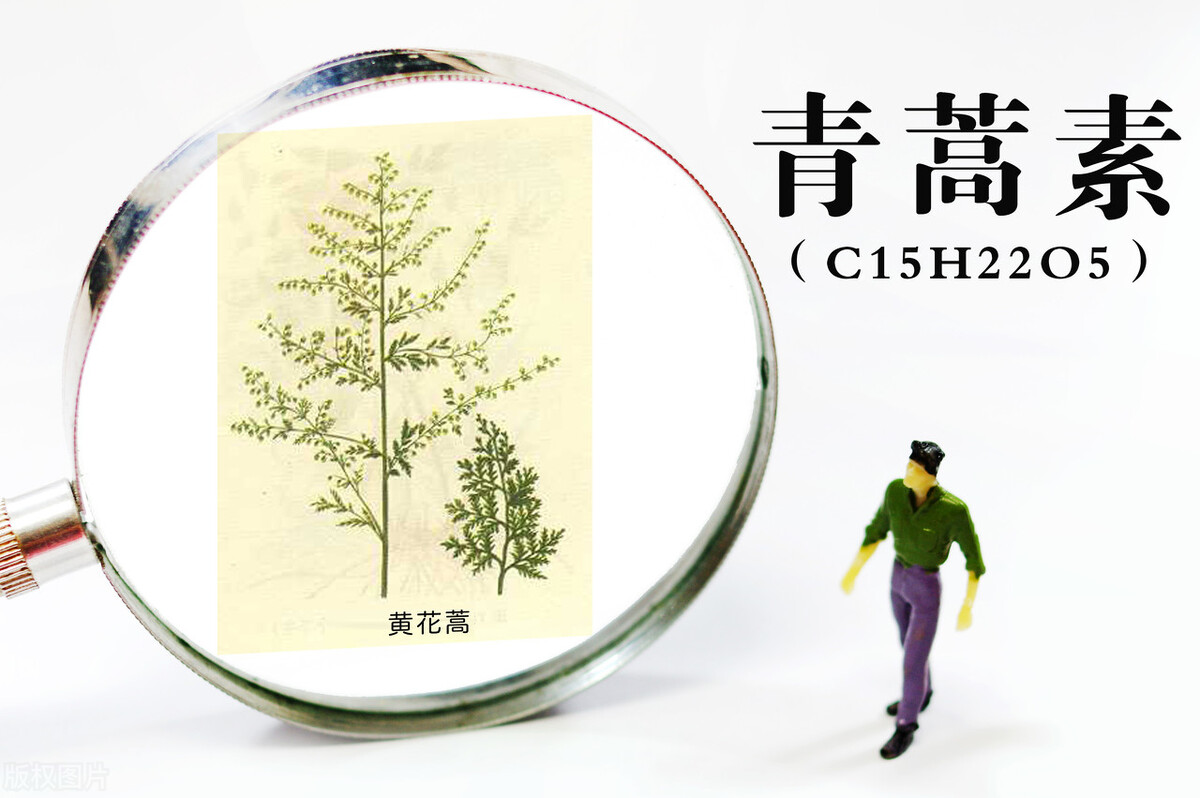 让美军损失惨重，威胁2亿人生命安全！中国神药如何攻克千年瘟疫