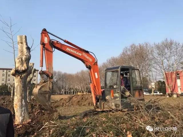 20年前的安徽理工大学,安徽理工大学辉煌校史